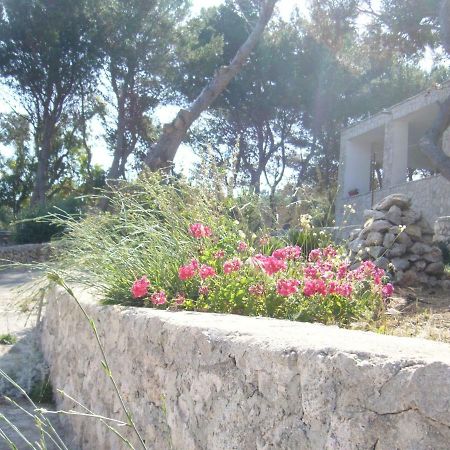 Villa Aquarium Gagliano del Capo Exterior foto